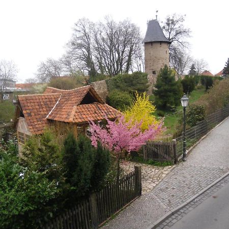Ferienwohnung Brockenblick فيرنغروده المظهر الخارجي الصورة