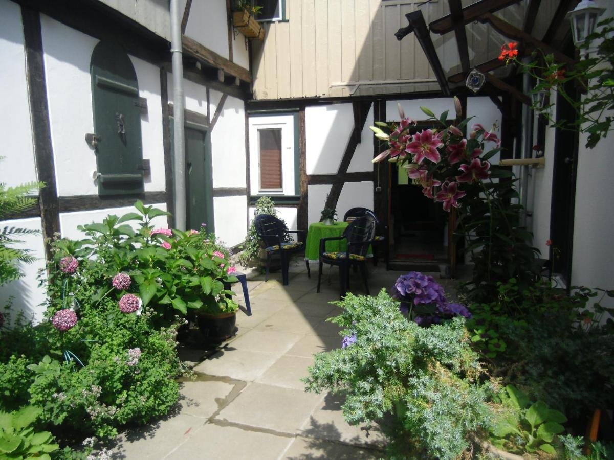 Ferienwohnung Brockenblick فيرنغروده المظهر الخارجي الصورة
